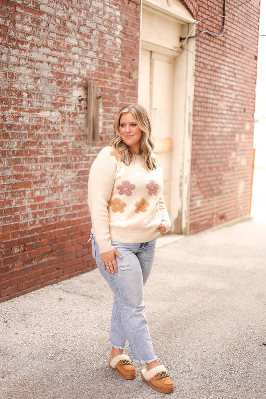 Apple Cider Sweater [taupe combo]