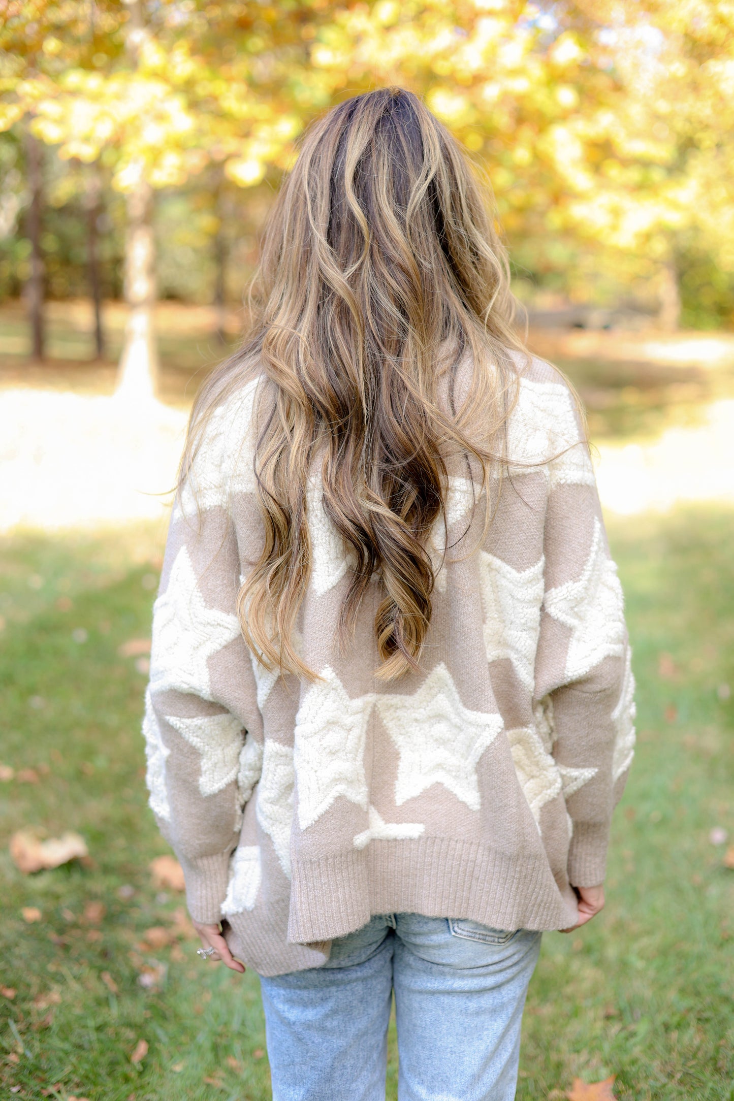 Starry Nights Oversized Cardigan [taupe multi]